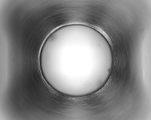 X0000096421380200801240955
