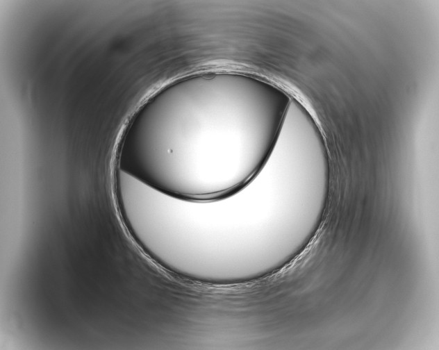X0000096421381200801240955