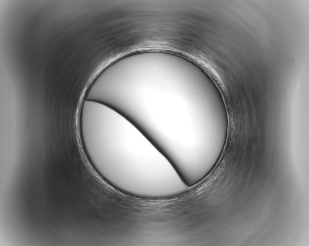 X0000096421382200801240955