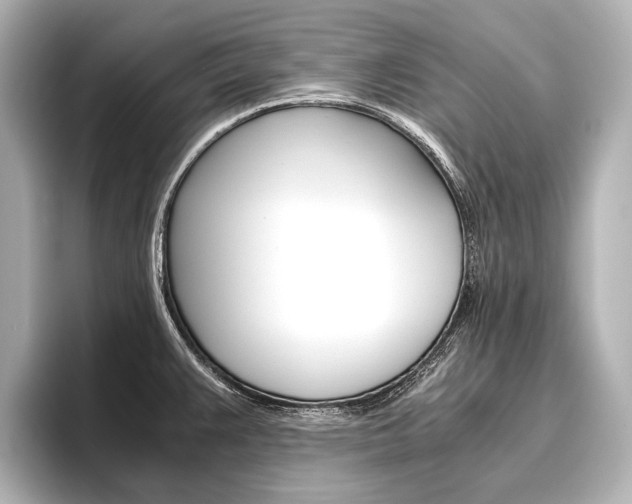 X0000096421383200801240955