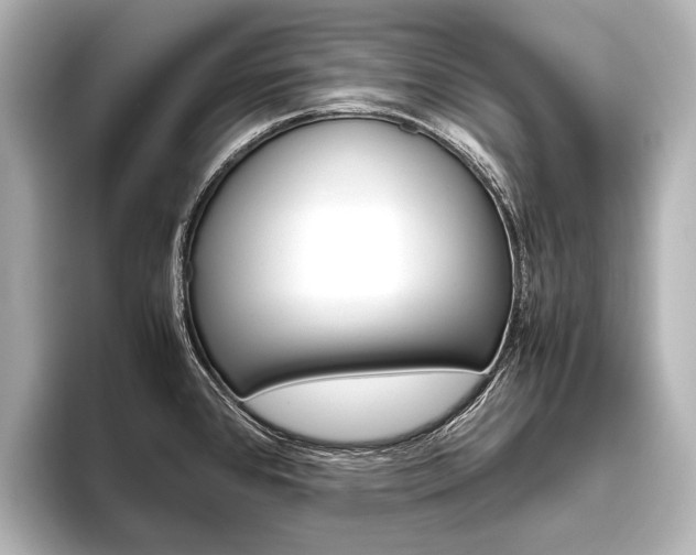 X0000096421384200801240955