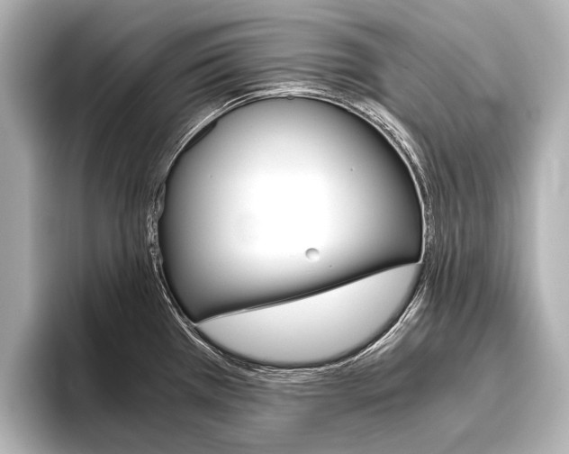 X0000096421385200801240955