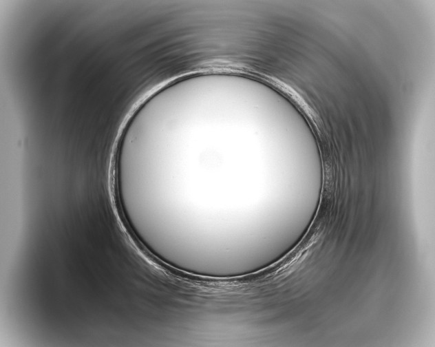 X0000096421387200801240955