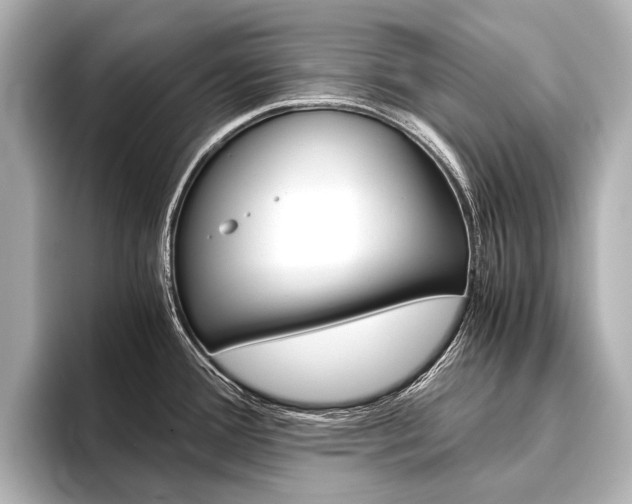 X0000096421388200801240955