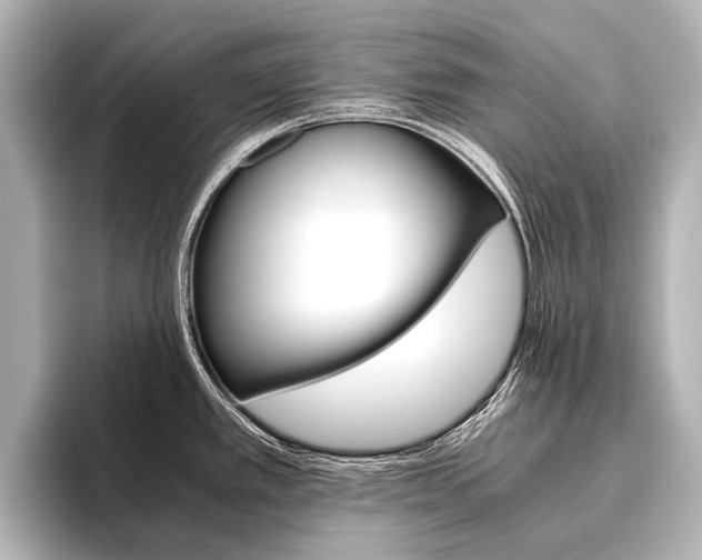 X0000096421389200801240955