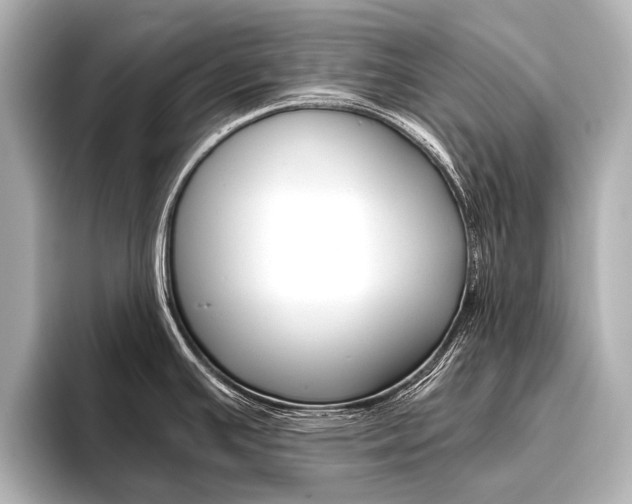 X0000096421391200801240955