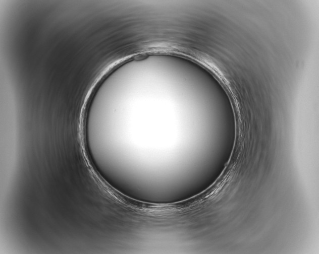X0000096421392200801240955