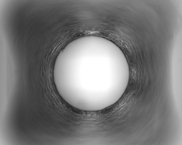 X0000096421393200801240954