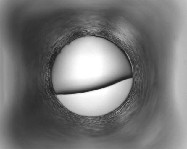 X0000096421397200801240954