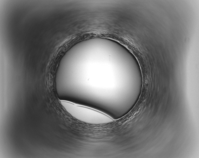 X0000096421398200801240954