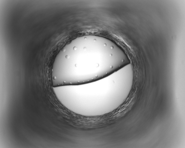 X0000096421399200801240954