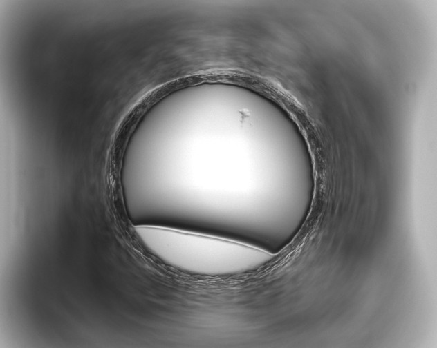 X0000096421400200801240954
