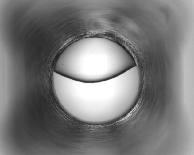 X0000096421401200801240954