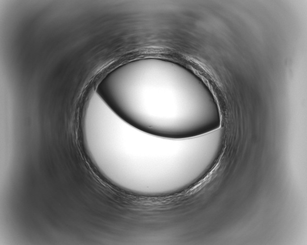 X0000096421402200801240954