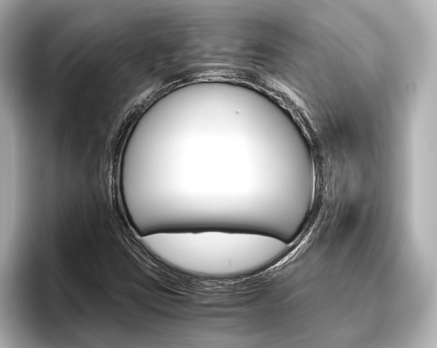 X0000096421403200801240954