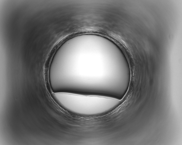 X0000096421404200801240954