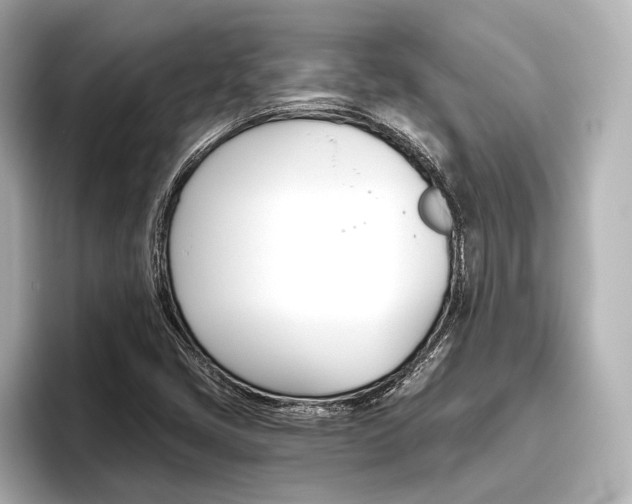 X0000096421405200801240954
