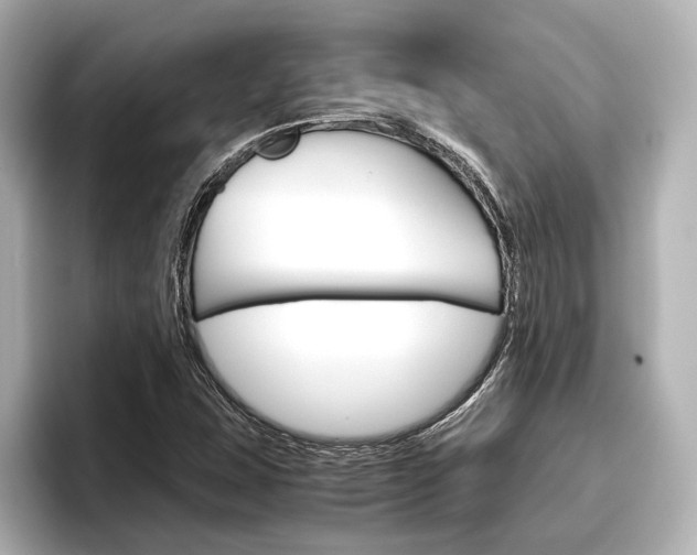 X0000096421407200801240954
