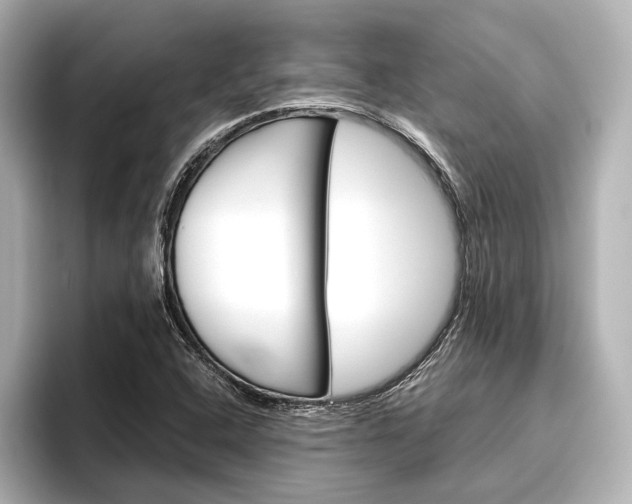 X0000096421408200801240954