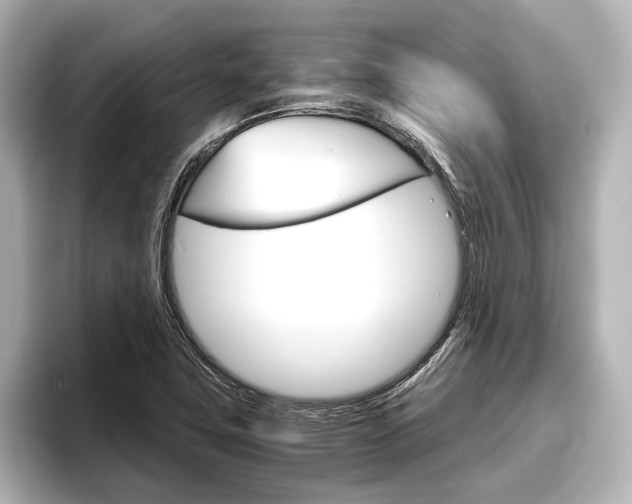 X0000096421411200801240954