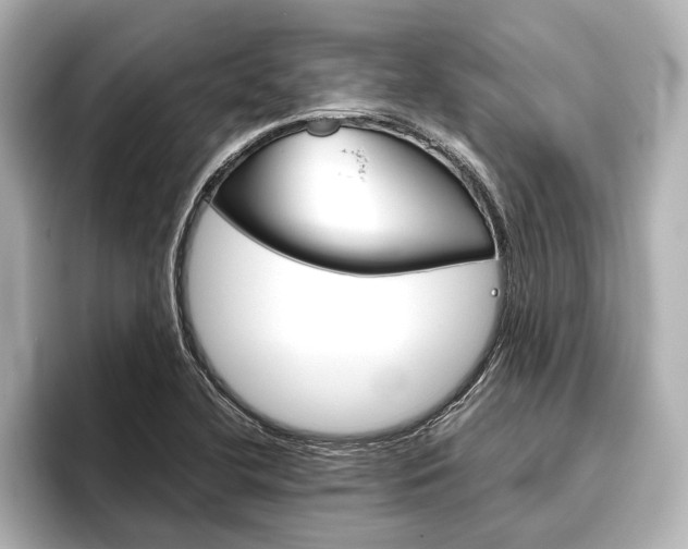 X0000096421412200801240954