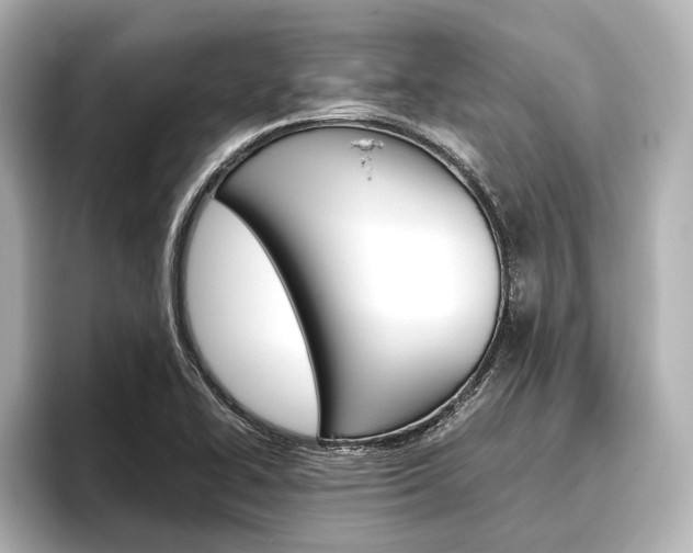 X0000096421414200801240954