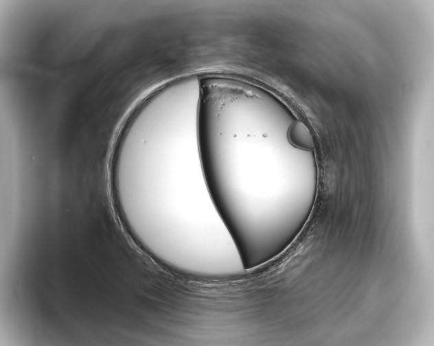 X0000096421416200801240954