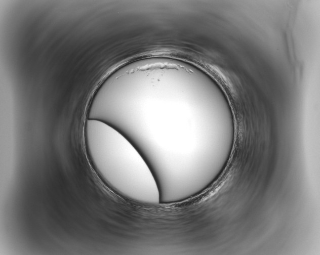 X0000096421417200801240954