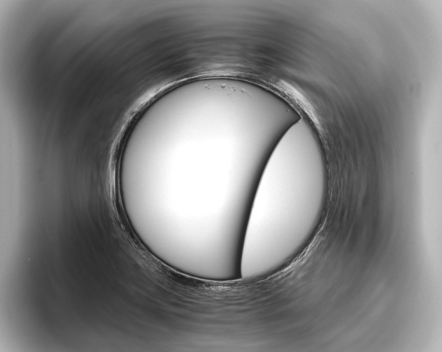 X0000096421419200801240954