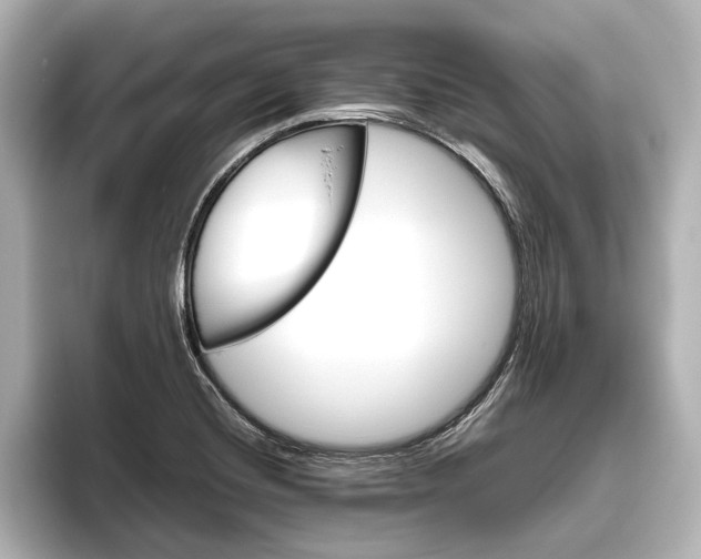 X0000096421420200801240954