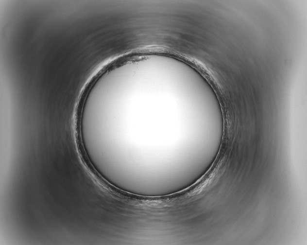 X0000096421422200801240954