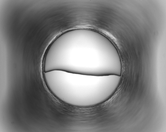 X0000096421423200801240954