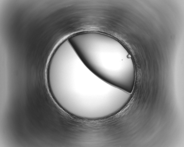X0000096421424200801240954
