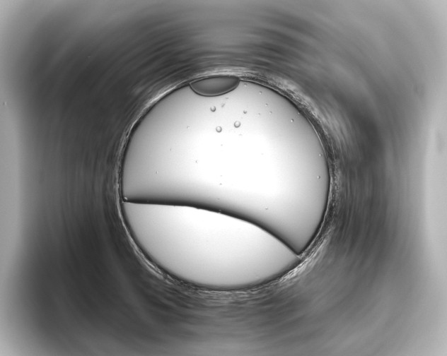 X0000096421425200801240954