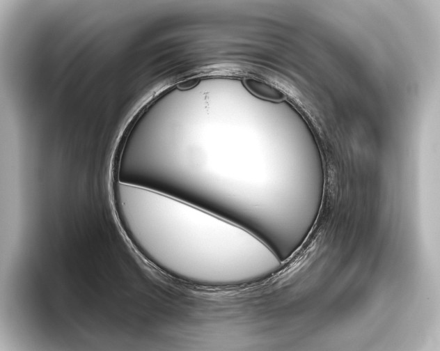 X0000096421426200801240954