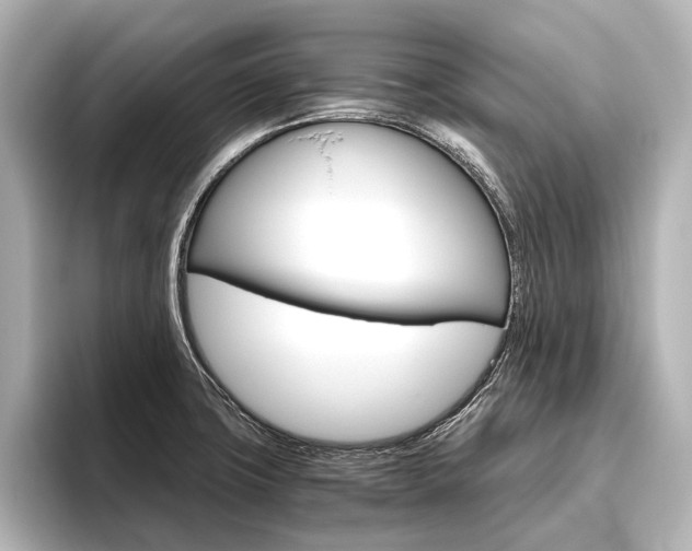 X0000096421427200801240954