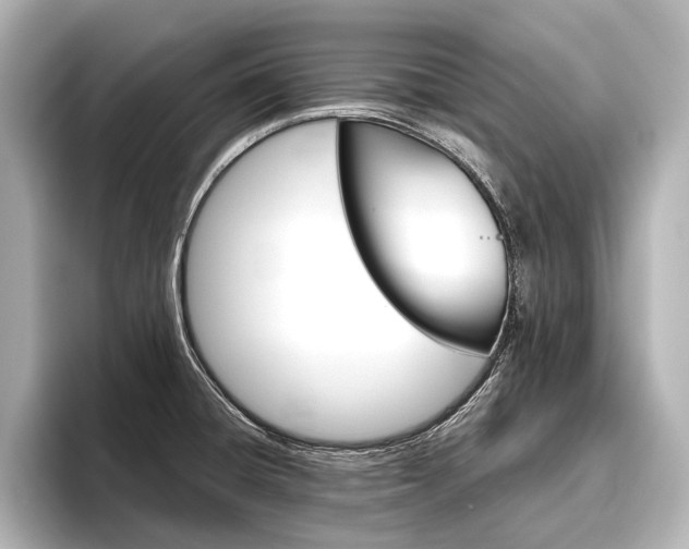 X0000096421428200801240954