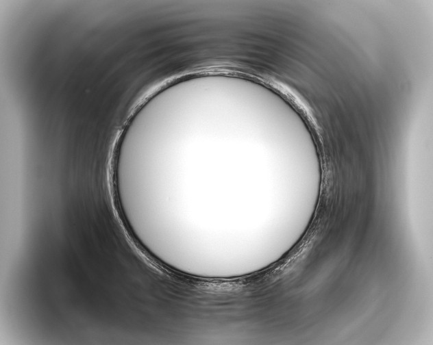 X0000096421429200801240954