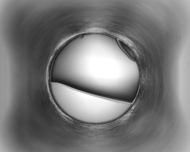 X0000096421430200801240954