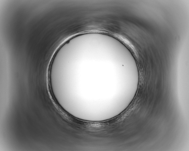 X0000096421431200801240954