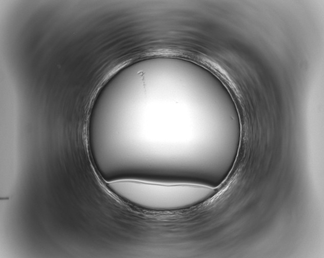 X0000096421433200801240954