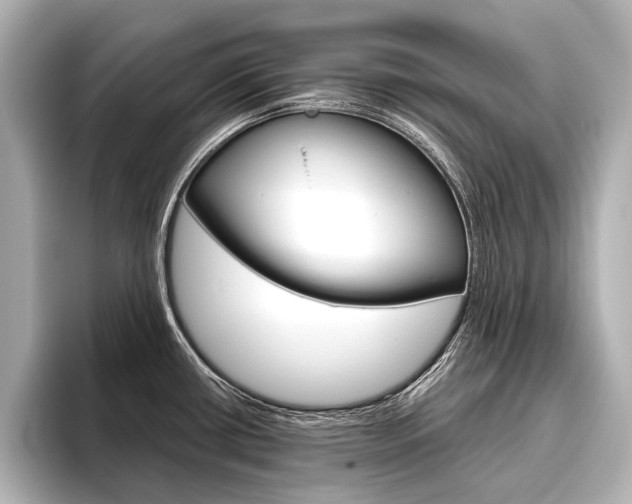 X0000096421434200801240954