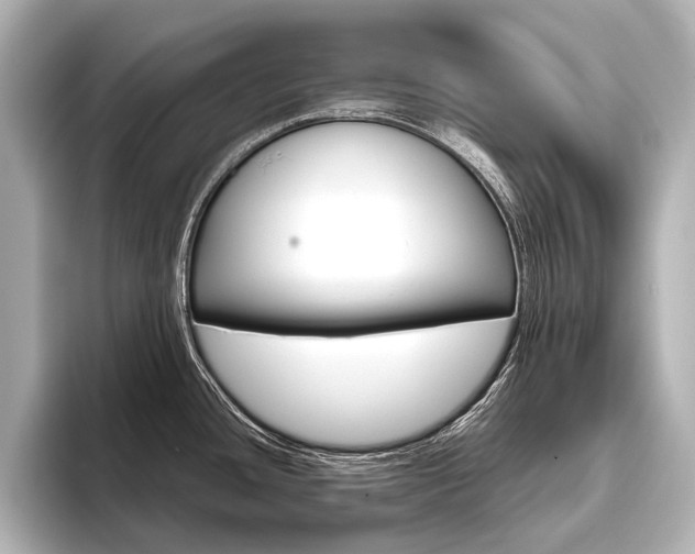 X0000096421436200801240954
