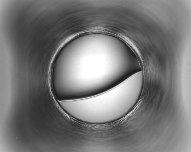X0000096421437200801240954