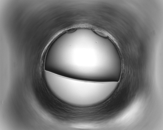X0000096421438200801240955