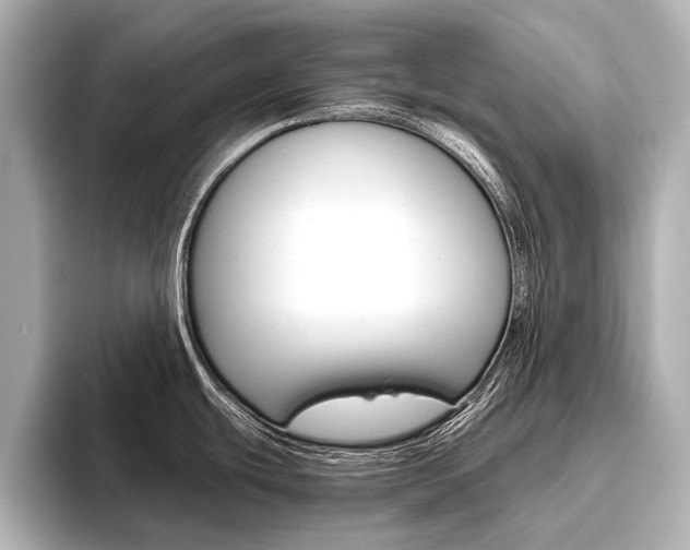 X0000096421439200801240955