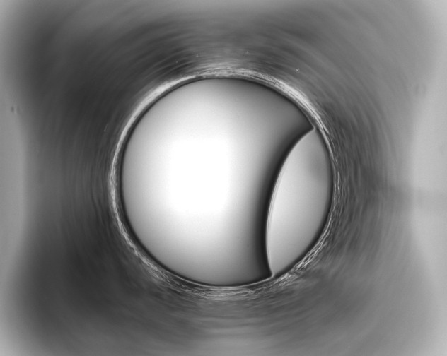 X0000096421440200801240955