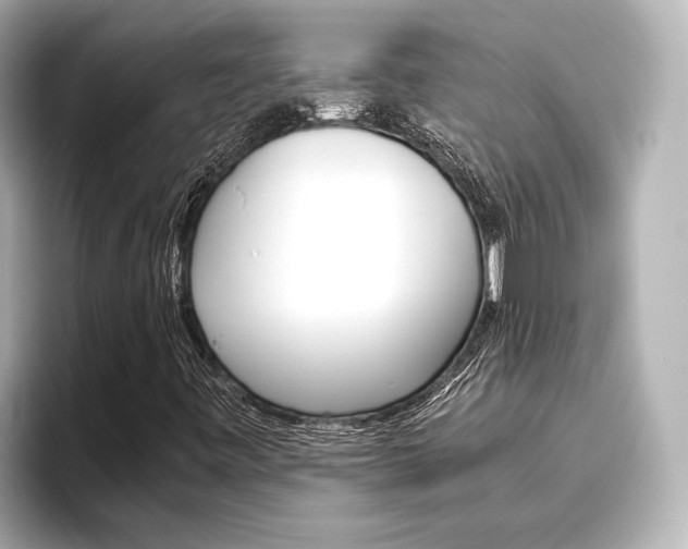 X0000096421443200801240954