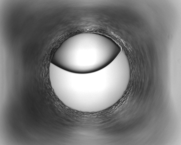 X0000096421447200801240954