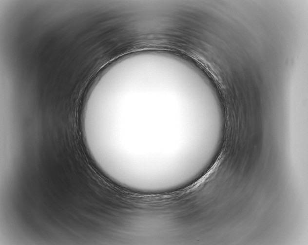 X0000096421449200801240954